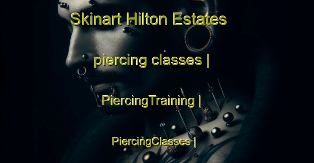 Skinart Hilton Estates piercing classes | PiercingTraining | PiercingClasses | SkinartTraining-United States
